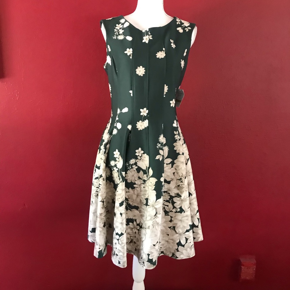 NWT: Danny and Nicole a-line dress w/pockets